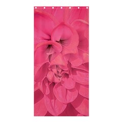 Beauty Pink Rose Detail Photo Shower Curtain 36  X 72  (stall)  by dflcprintsclothing