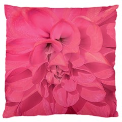 Beauty Pink Rose Detail Photo Large Cushion Case (one Side) by dflcprintsclothing