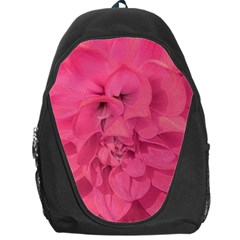 Beauty Pink Rose Detail Photo Backpack Bag