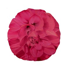 Beauty Pink Rose Detail Photo Standard 15  Premium Round Cushions by dflcprintsclothing