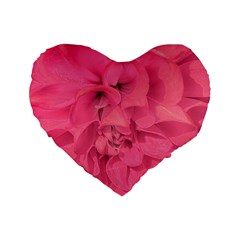 Beauty Pink Rose Detail Photo Standard 16  Premium Heart Shape Cushions by dflcprintsclothing