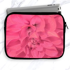 Beauty Pink Rose Detail Photo Apple Ipad 2/3/4 Zipper Cases by dflcprintsclothing