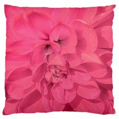 Beauty Pink Rose Detail Photo Standard Flano Cushion Case (two Sides) by dflcprintsclothing