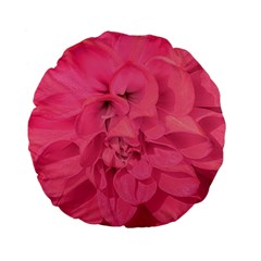 Beauty Pink Rose Detail Photo Standard 15  Premium Flano Round Cushions by dflcprintsclothing