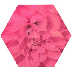 Beauty Pink Rose Detail Photo Wooden Puzzle Hexagon by dflcprintsclothing