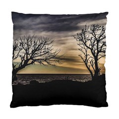 Coastal Sunset Scene At Montevideo City, Uruguay Standard Cushion Case (two Sides) by dflcprintsclothing