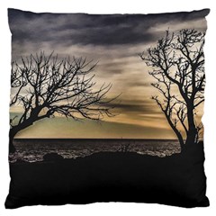 Coastal Sunset Scene At Montevideo City, Uruguay Large Cushion Case (one Side) by dflcprintsclothing