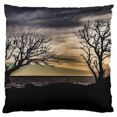 Coastal Sunset Scene At Montevideo City, Uruguay Standard Flano Cushion Case (one Side) by dflcprintsclothing