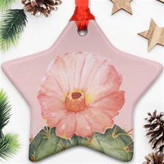 Rose Cactus Ornament (star) by goljakoff