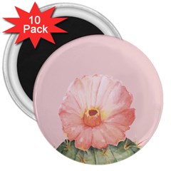 Rose Cactus 3  Magnets (10 Pack)  by goljakoff