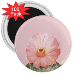 Rose Cactus 3  Magnets (100 Pack) by goljakoff