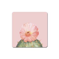 Rose Cactus Square Magnet by goljakoff