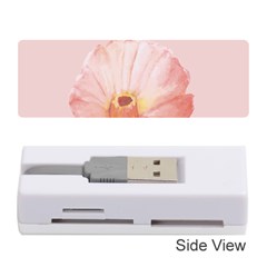 Rose Cactus Memory Card Reader (stick) by goljakoff