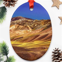 Colored Mountains Landscape, La Rioja, Argentina Oval Ornament (two Sides)