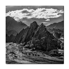 Andean Landscape At Brava Lagoon Reserve, La Rioja, Argentina Tile Coaster by dflcprintsclothing