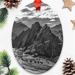 Andean Landscape At Brava Lagoon Reserve, La Rioja, Argentina Ornament (oval) by dflcprintsclothing