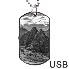 Andean Landscape At Brava Lagoon Reserve, La Rioja, Argentina Dog Tag Usb Flash (one Side) by dflcprintsclothing