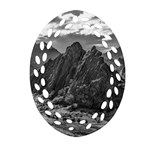 Andean Landscape At Brava Lagoon Reserve, La Rioja, Argentina Oval Filigree Ornament (Two Sides) Back