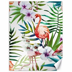 Tropical Flamingo Canvas 18  X 24  by goljakoff