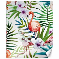 Tropical Flamingo Canvas 11  X 14  by goljakoff