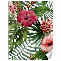 Monstera Flowers Canvas 36  X 48  by goljakoff