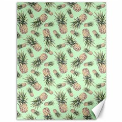 Pineapples Canvas 36  X 48  by goljakoff