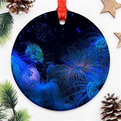 Photo D aquarium Ornament (round) by kcreatif