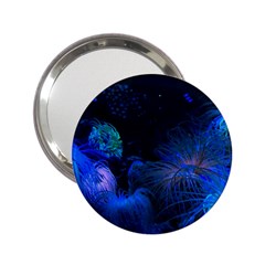 Photo D aquarium 2 25  Handbag Mirrors by kcreatif