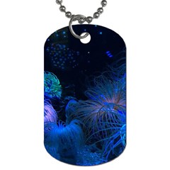 Photo D aquarium Dog Tag (one Side)