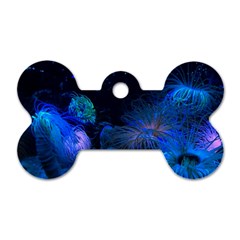 Photo D aquarium Dog Tag Bone (two Sides) by kcreatif