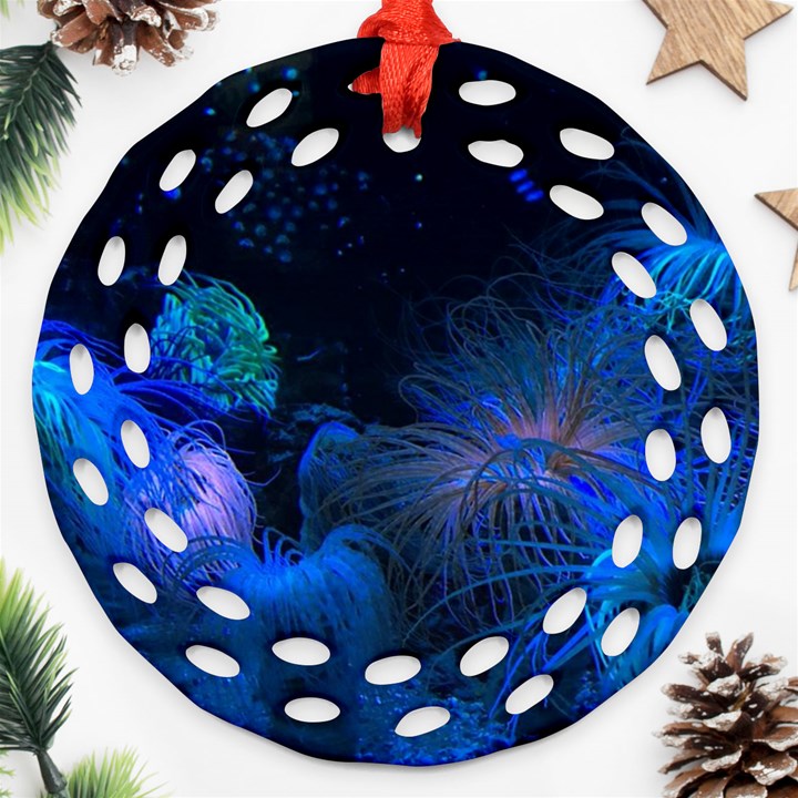 photo d aquarium Ornament (Round Filigree)