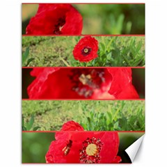 Photos Collage Coquelicots Canvas 18  X 24  by kcreatif