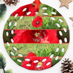 Photos Collage Coquelicots Round Filigree Ornament (two Sides) by kcreatif