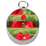 Photos Collage Coquelicots Silver Compasses Front