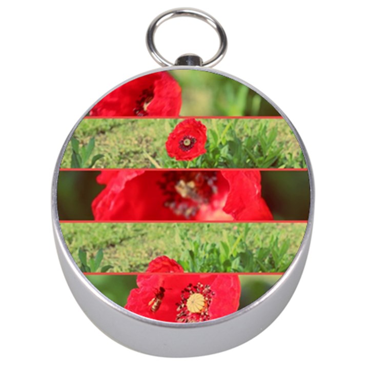 Photos Collage Coquelicots Silver Compasses