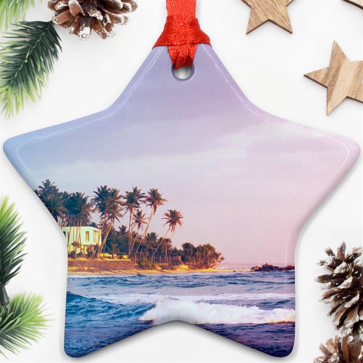 Seascape Ornament (Star)