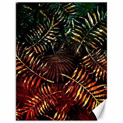 Tropical Leaves Canvas 12  X 16  by goljakoff