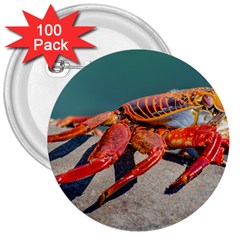 Colored Crab, Galapagos Island, Ecuador 3  Buttons (100 Pack)  by dflcprintsclothing