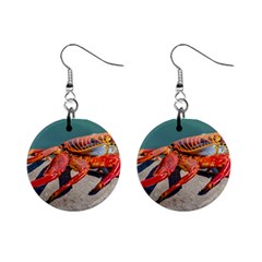 Colored Crab, Galapagos Island, Ecuador Mini Button Earrings by dflcprintsclothing