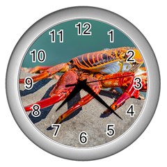 Colored Crab, Galapagos Island, Ecuador Wall Clock (silver) by dflcprintsclothing