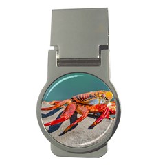 Colored Crab, Galapagos Island, Ecuador Money Clips (round)  by dflcprintsclothing