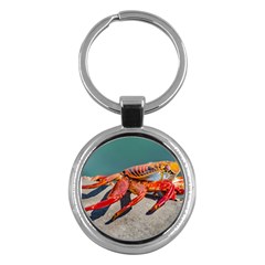 Colored Crab, Galapagos Island, Ecuador Key Chain (round) by dflcprintsclothing