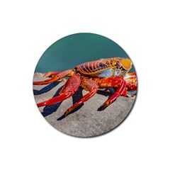 Colored Crab, Galapagos Island, Ecuador Rubber Coaster (round)  by dflcprintsclothing