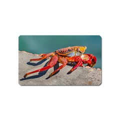 Colored Crab, Galapagos Island, Ecuador Magnet (name Card) by dflcprintsclothing