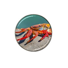 Colored Crab, Galapagos Island, Ecuador Hat Clip Ball Marker (10 Pack) by dflcprintsclothing