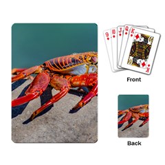 Colored Crab, Galapagos Island, Ecuador Playing Cards Single Design (rectangle) by dflcprintsclothing