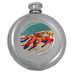 Colored Crab, Galapagos Island, Ecuador Round Hip Flask (5 Oz)