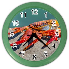 Colored Crab, Galapagos Island, Ecuador Color Wall Clock by dflcprintsclothing