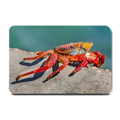 Colored Crab, Galapagos Island, Ecuador Small Doormat  by dflcprintsclothing