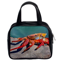 Colored Crab, Galapagos Island, Ecuador Classic Handbag (two Sides) by dflcprintsclothing